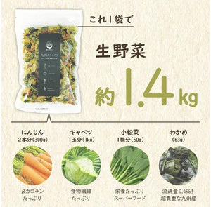 九州Dried Veggie 蔬菜乾 100G｜10月10日後到貨