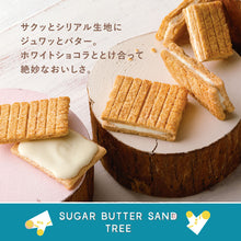 將圖片載入圖庫檢視器 Sugar Butter Tree 三重雜錦奶油夾心餅 (24塊)︱10月10日後到貨
