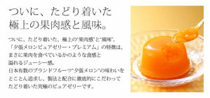 HORI PURE JELLY 北海道夕張哈蜜瓜果凍 Premium版 (16gX12粒)